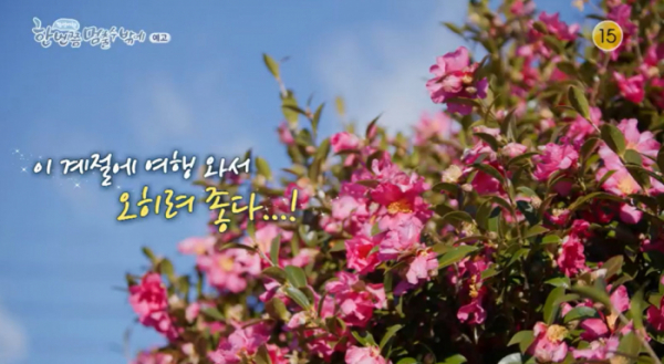 ▲‘한 번쯤 멈출 수밖에’ 제주도(사진제공=KBS 2TV)