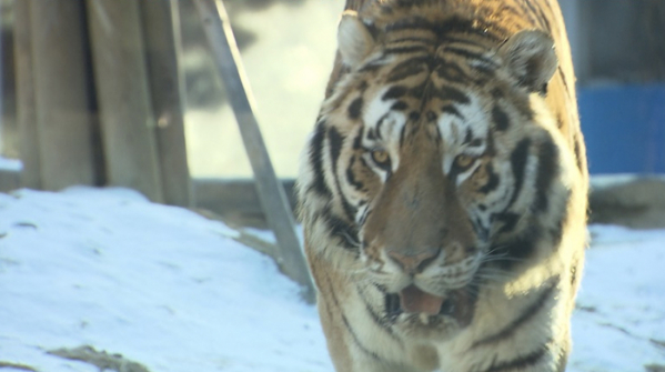 ▲'뉴스토리'(사진제공=SBS)