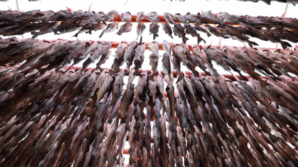 ▲'김영철의 동네 한 바퀴' 동해(사진제공=KBS 1TV)