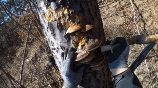 ▲'극한직업'(사진제공=EBS1)