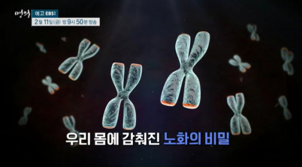 ▲'명의' (사진제공=EBS1)