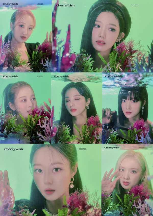 ▲체리블렛(사진=FNC W)