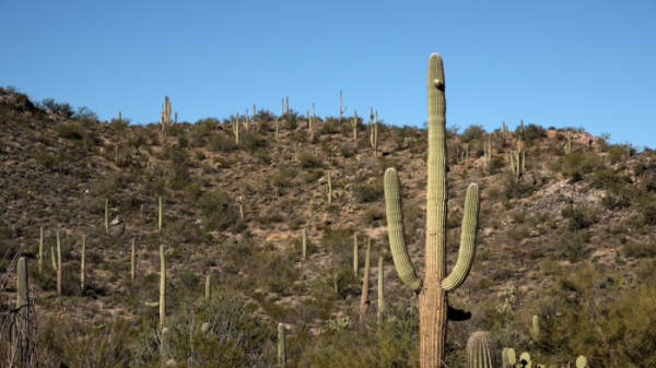 ▲'걸어서 세계속으로'(사진제공=KBS 1TV)