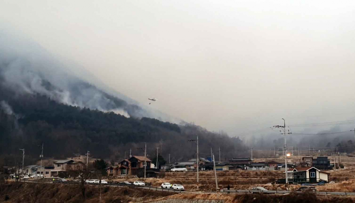 ▲1일 오전 경북 고령군 쌍림면 신촌리 산불 현장에서 소방헬기가 진화 작업에 나서고 있다. (연합뉴스)