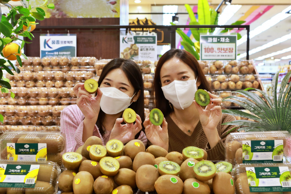 ▲2일 서울 중구 봉래동에 있는 롯데마트 서울역점에서 모델들이 '그릭키위 골드ㆍ그린'을 홍보하고 있다. (사진제공=롯데마트)