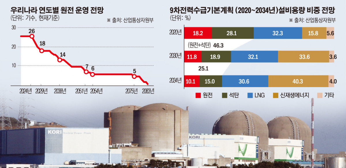 ▲(그래픽=손미경 기자 sssmk@)
