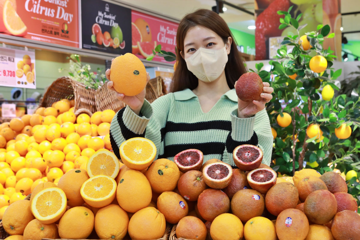 ▲7일 서울시 중구 봉래동에 있는 롯데마트 서울역점에서 모델들이 블러드 오렌지, 자이언트 오렌지를 홍보하고 있다.  (사진제공=롯데마트)