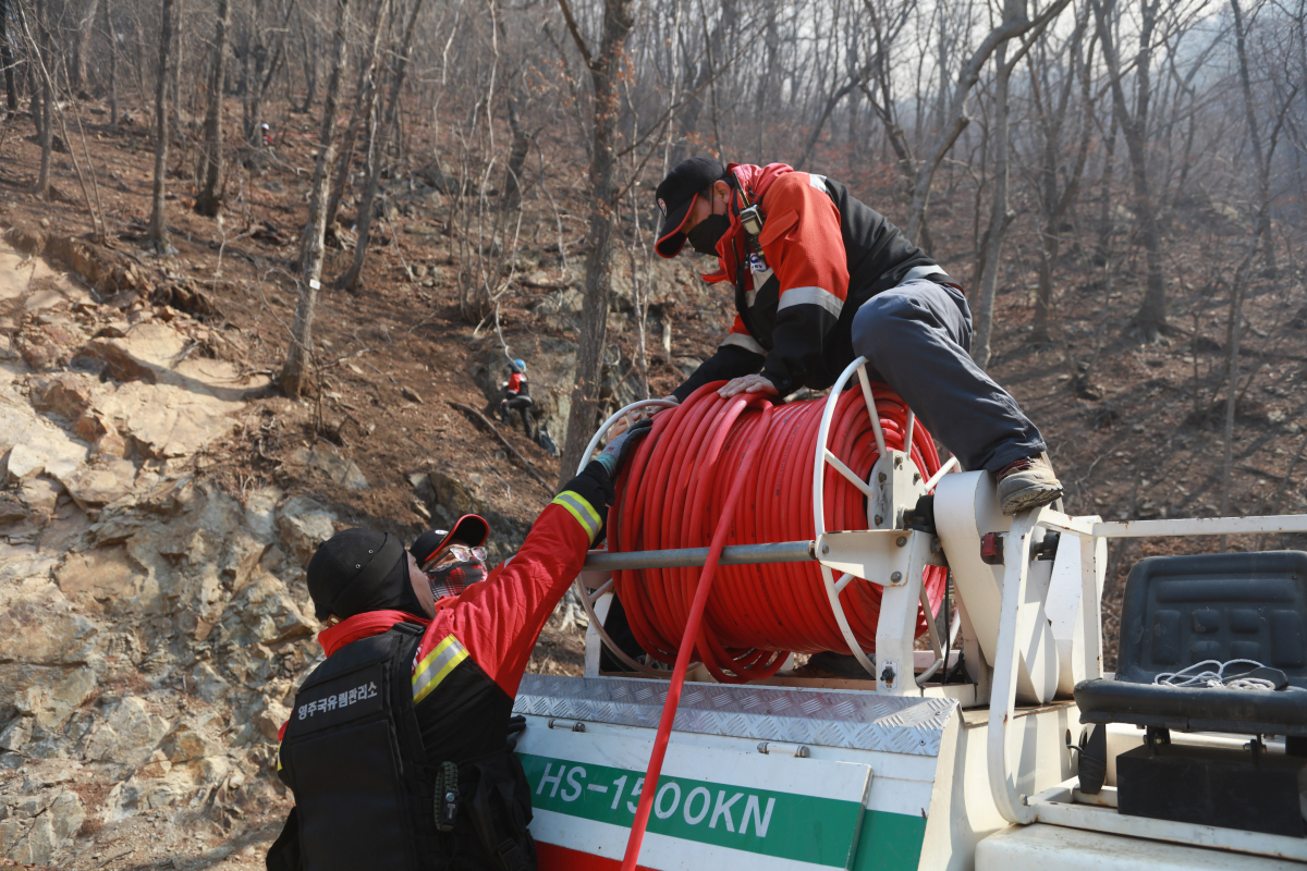 ▲울진·삼척산불 발생 닷새째인 8일 경북 울진군 금강송면 소광리 금강송 군락지 경계선으로 불길이 다가오자 산림청 소속 진화요원들이 진화준비를 하고 있다.  (연합뉴스)