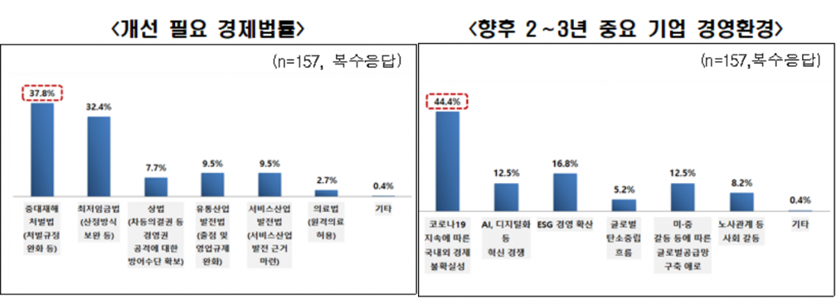 ▲개선 필요 경제법률 및 향후 2~3년 중요 기업 경영환경 조사 결과  (제공=전국경제인연합회)