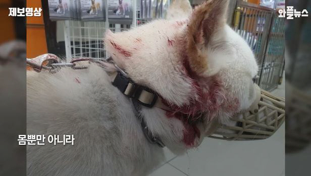 ▲
(출처=YTN 뉴스 캡처)