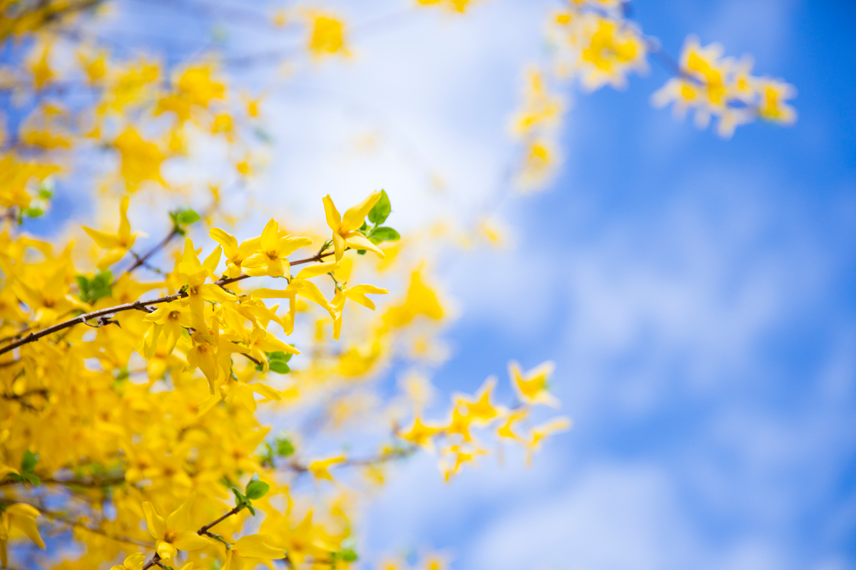 (이미지투데이)