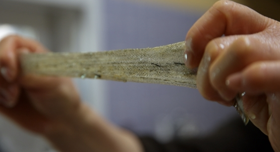 ▲'다큐프라임'(사진제공=MBC)