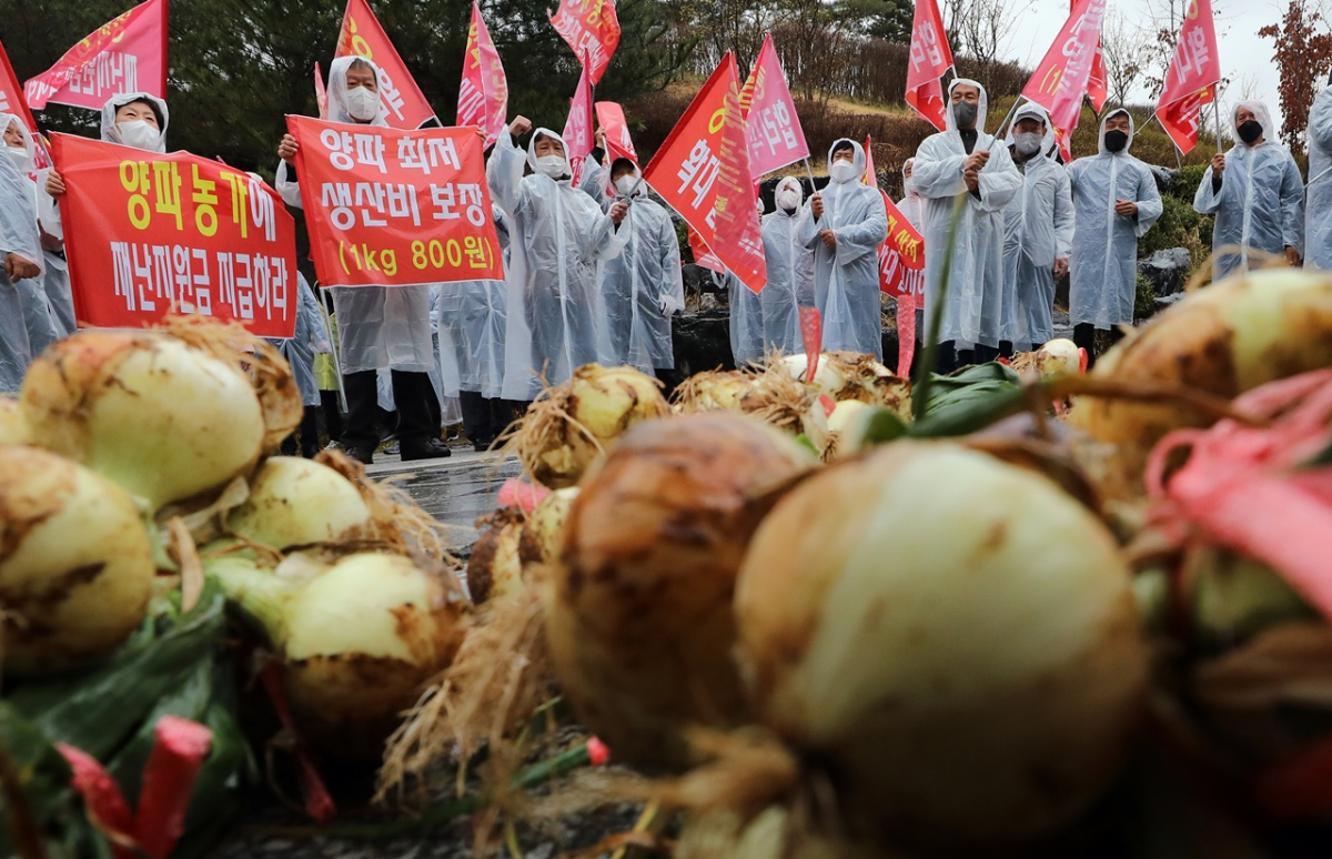 ▲한국양파연합회와 전국양파생산자협회 등 양파 재배 농민들이 정부세종청사 농림축산식품부 앞에서 양파가격 보장과 농민 재난지원금 등을 촉구하고 있다.  (뉴시스)