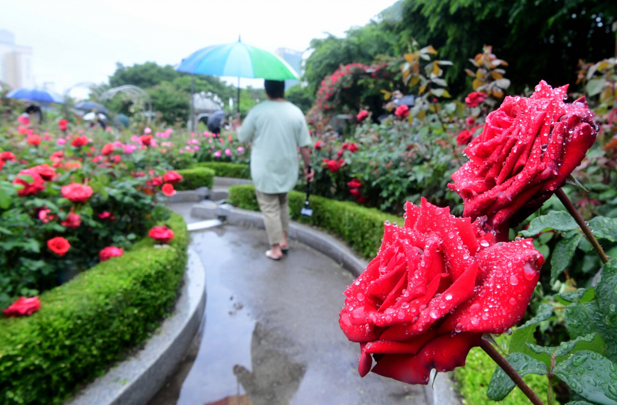 ▲
 (신태현 기자 holjjak@)