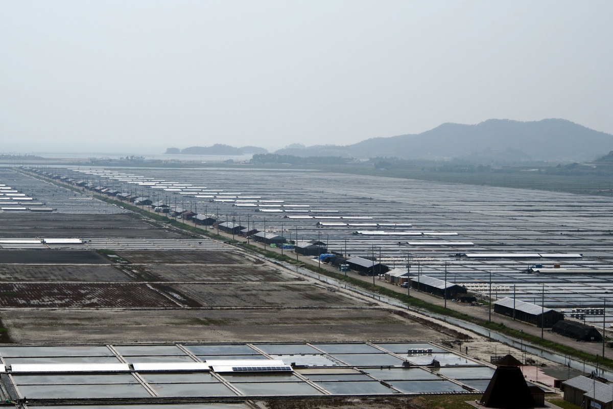 ▲신안 염전, 사진은 위 사건과 관련 없음 (뉴시스)