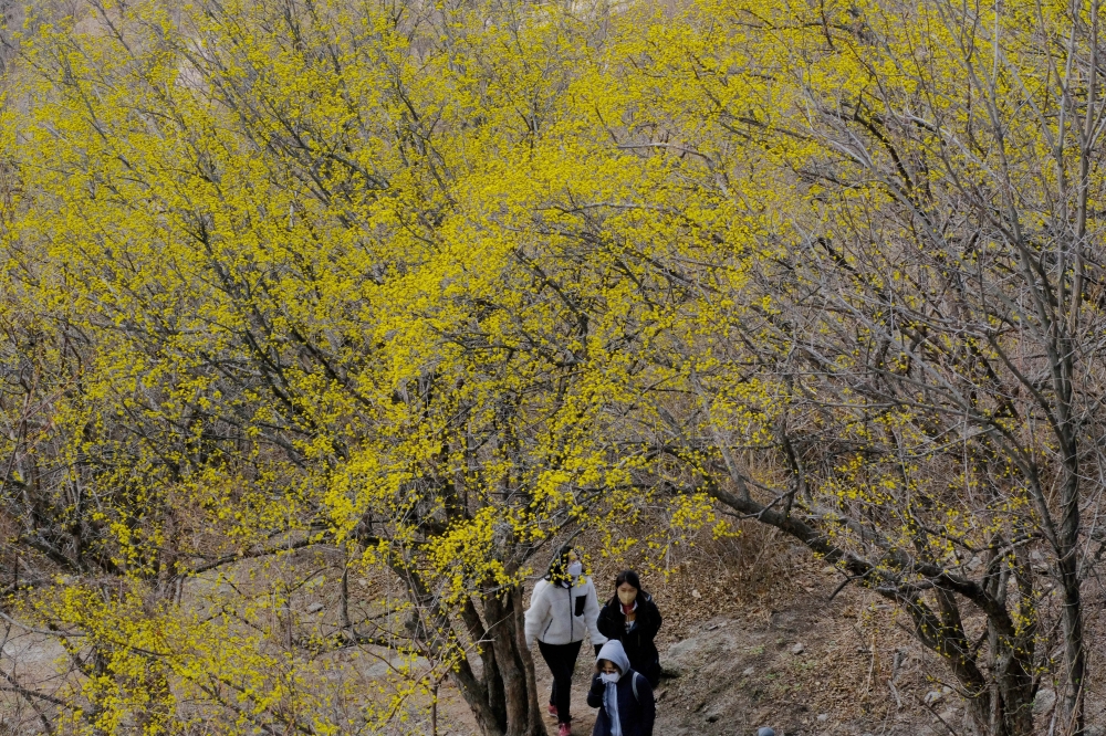 ▲신태현 기자 holjjak@ (이투데이DB)