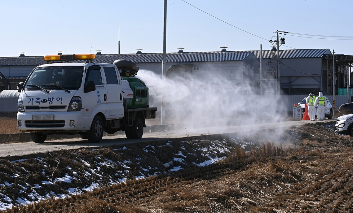 ▲평택의 한 산란계 농장에서 방역차량이 소독을 하고 있다. (뉴시스)