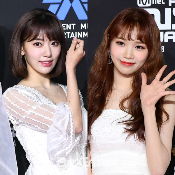 ▲미야와키 사쿠라(왼쪽), 김채원(비즈엔터DB)