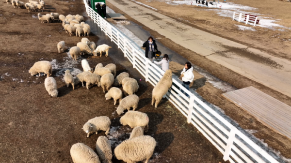 ▲‘한 번쯤 멈출 수밖에’ 평창(사진제공=KBS 2TV)