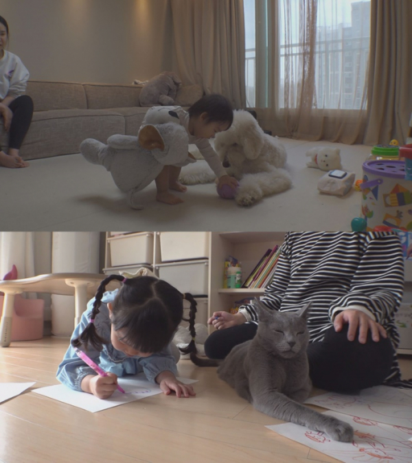 ▲'TV 동물농장'(사진제공=SBS)