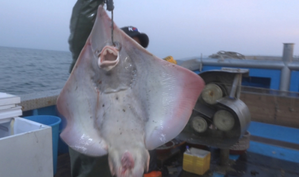 ▲'극한직업' (사진제공=EBS1)