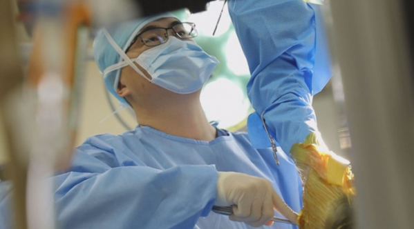 ▲'TV동물농장'(사진제공=SBS)