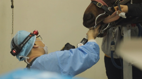 ▲'TV동물농장'(사진제공=SBS)