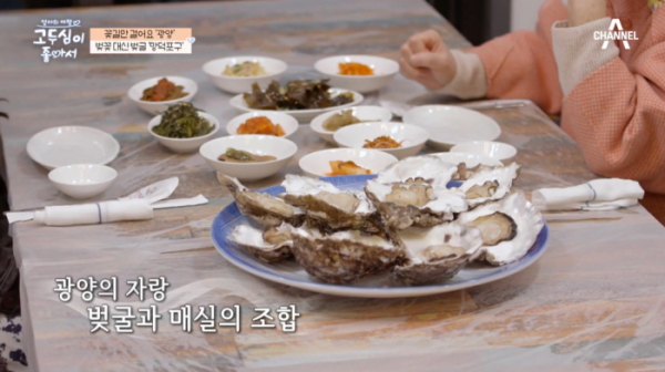 ▲섬진강 벚굴(사진=채널A 방송화면 캡처)