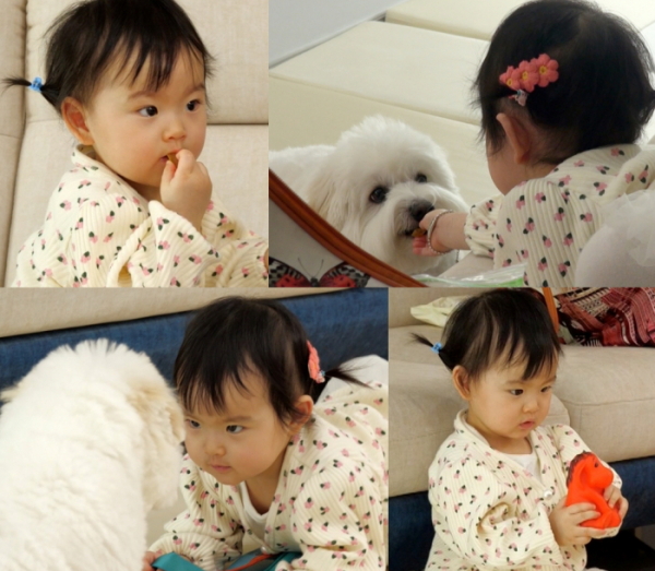 ▲'슈돌' 백성현 딸 (사진제공=KBS)