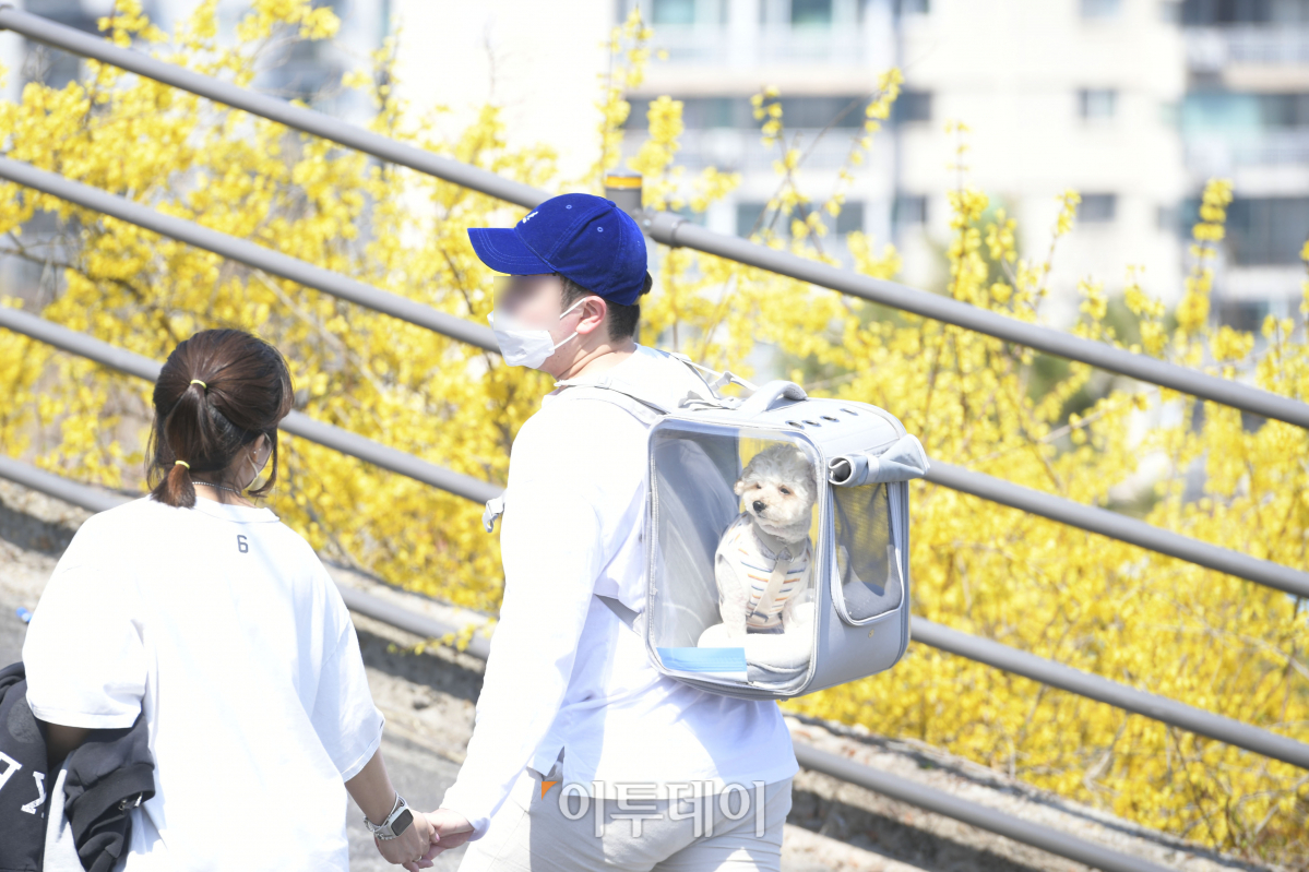 (조현호 기자 hyunho@)