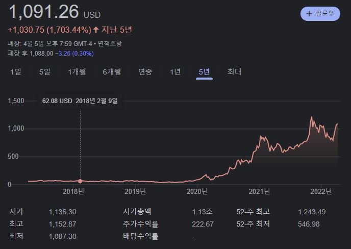 ▲테슬라 주가 추이. 출처 : 구글
