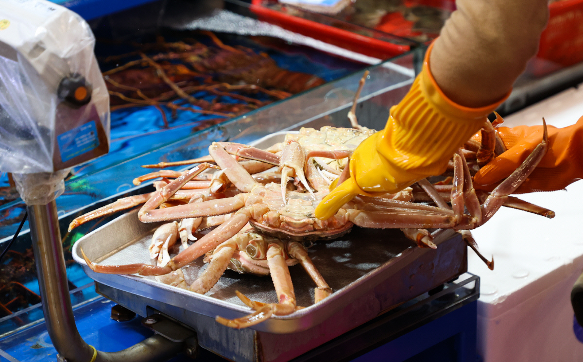 ▲(연합뉴스) 6일 서울 동작구 노량진수산시장에서 시민들이 대게를 고르고 있다.