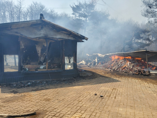 ▲충남 서산시 운산면 산불로 불탄 주택. (연합뉴스)