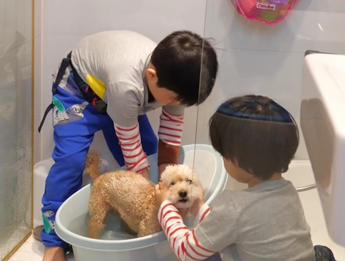 ▲‘슈퍼맨이 돌아왔다’ 신현준 아들 민준, 예준 형제(사진제공=KBS 2TV)