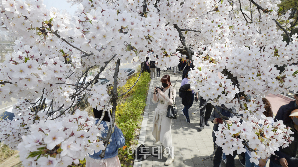 (조현욱 기자 gusdnr8863@)