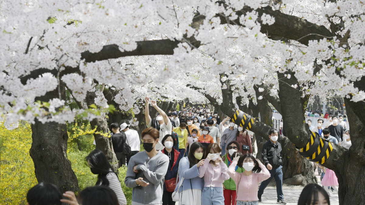 ▲조현욱 기자 gusdnr8863@