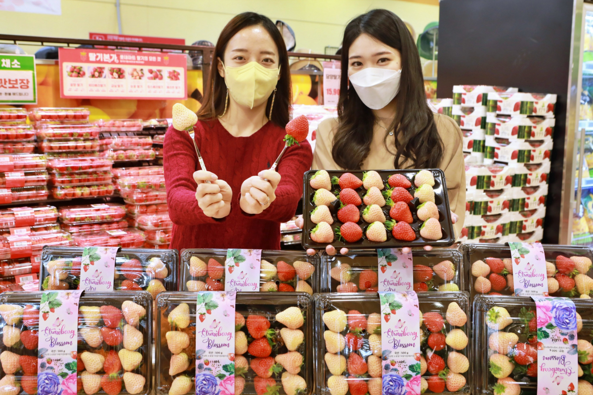 (사진제공=롯데쇼핑)