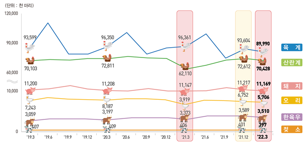▲통계청은 21일 발표한 '2022년 1분기 가축동향조사 결과'에서 올해 1분기(3월 1일 기준) 산란계 사육마릿수는 7042만8000마리로 전년 동기 대비 831만8000마리(13.4%) 증가했다고 밝혔다. (자료제공=통계청)