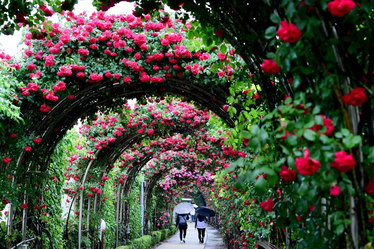 ▲신태현 기자 holjjak@