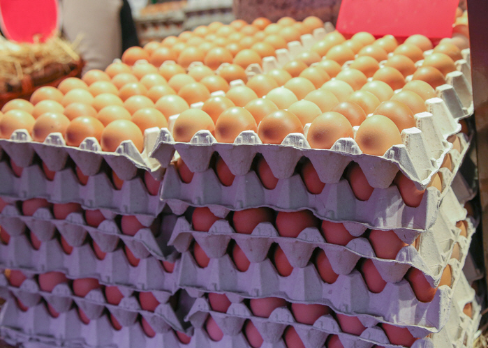 ▲(게티이미지뱅크)