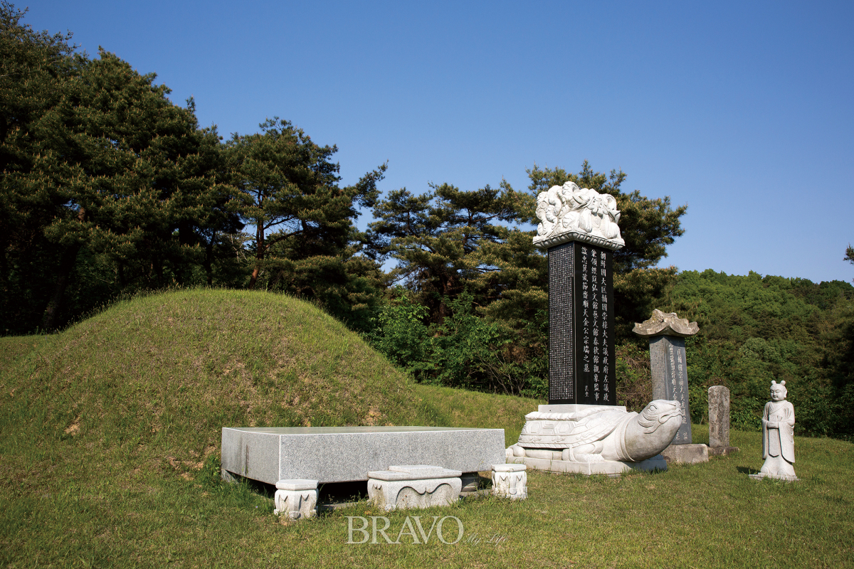 (브라보 마이 라이프 DB)