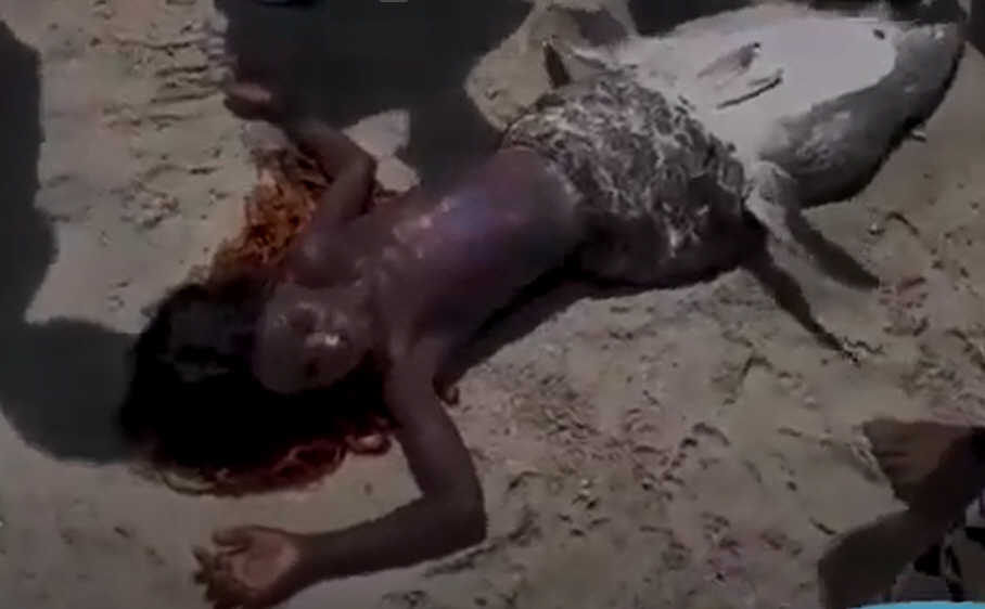 ▲(유튜브 캡처)
