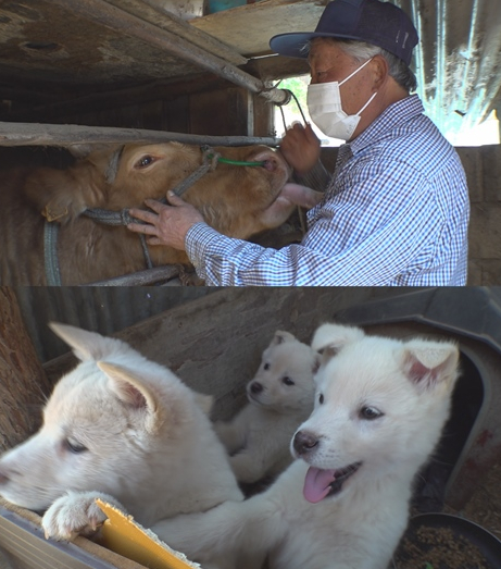 ▲'TV동물농장'(사진제공=SBS)