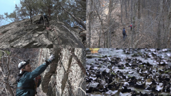 ▲'극한직업' (사진제공=EBS1)