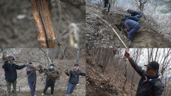 ▲'극한직업' (사진제공=EBS1)