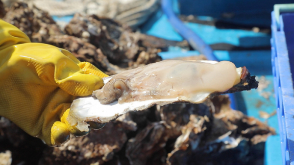 ▲'한국기행'(사진제공=EBS1)