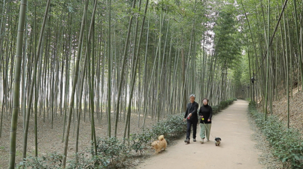 ▲'한국기행'(사진제공=EBS1)