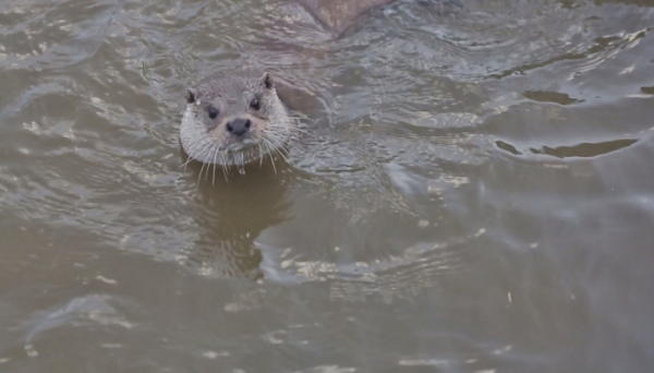 ▲'순간포착'(사진제공=SBS)