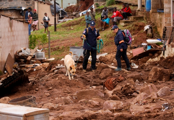 ▲남아프리카공화국 더반에서 17일 구조대원과 구조견이 피해 지역을 수색하고 있다. 더반/로이터연합뉴스
