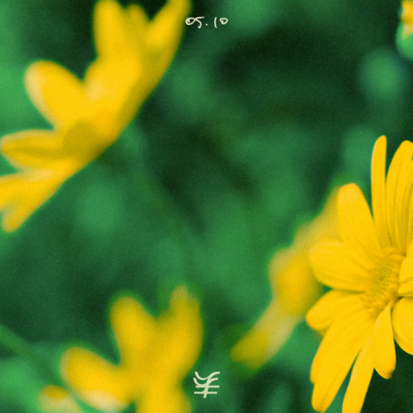 ▲잔나비(사진 = 페포니뮤직 제공)